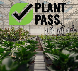 Plant Pass Workshop